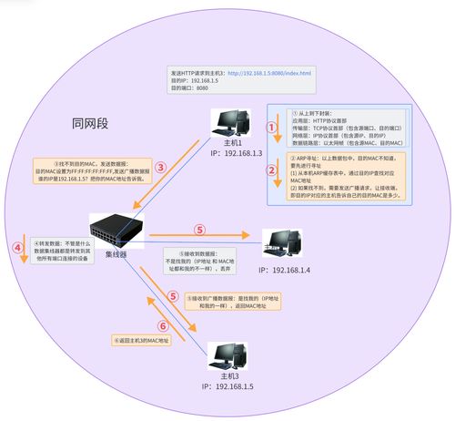 網(wǎng)絡(luò)通信與數(shù)據(jù)傳輸流程在信息安全軟件開(kāi)發(fā)中的關(guān)鍵作用